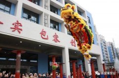 醒狮贺岁，苏州苗蓝智能制造解决方案有限公司2019年开工大吉