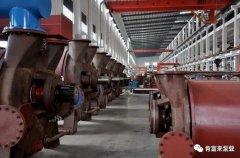 苏州苗蓝智能制造解决方案有限公司被评为2019年度三水区骨干企业